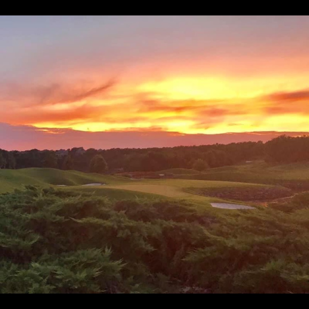 Meet your Posher, Janet